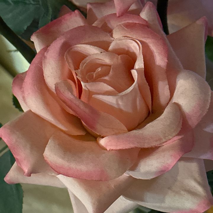 Profile Picture of Rita (@welawela66) on Tiktok