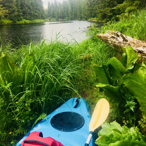 Profile Picture of Barbara Schneider (@aksailjb) on Poshmark