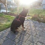 Profile Picture of Ursula Studer (@ursula.studer.391) on Instagram