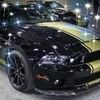 Profile Picture of roxanneprefontain7 (@roxanne.prefontai) on Tiktok