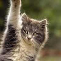 Profile Picture of Adam Boisvert (@adam-boisvert-6) on Quora