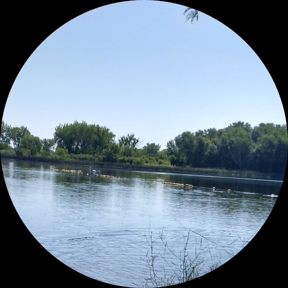 Profile Picture of Erica Glossbrenner (@eglossbrenner) on Poshmark