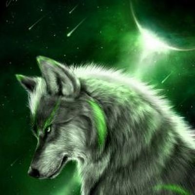 Profile Picture of Adam McCurdy (@AdamMcCurdy14) on Twitter