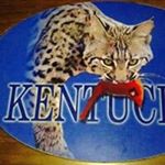 Profile Picture of Dustin McGrew (@dustin.mcgrew) on Instagram