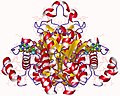 Profile Picture of Adenosine kinase - Wikipediaon Wikipedia