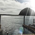 Profile Picture of Stephen Forest (@forestlegacy18) on Instagram