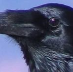 Michal Guman - Facebook Profile Picture of Michal Guman (@Michal-Guman) on Facebook