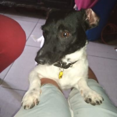 Profile Picture of Fabiola Rebeca Cabrera López (@FabiolaRebecaC2) on Twitter