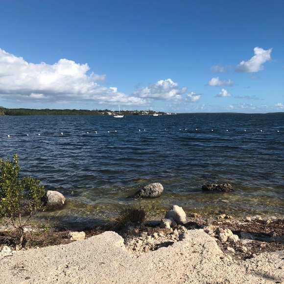 Profile Picture of Cynthia Stokley (@bjnastokley) on Poshmark