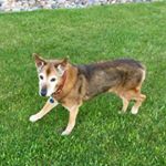 Profile Picture of Justin Vowles (@teamvowles) on Instagram