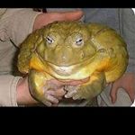 Profile Picture of Kyle Lyon (@kyle_lyon1123) on Instagram