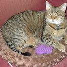 Profile Picture of Greg Doyle (@gawdoyle) on Pinterest