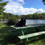 Profile Picture of Chris Luther (@lutherchristopher1) on Instagram