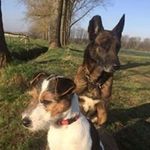 Profile Picture of Michael Pfaff (@michael.pfaff1504) on Instagram