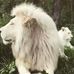 Profile Picture of Robin Shawn (@robin.shawn.501) on Facebook