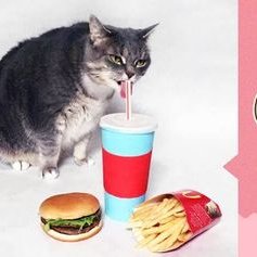 Profile Picture of James Mar Jip (@OnegaiJames) on Twitter