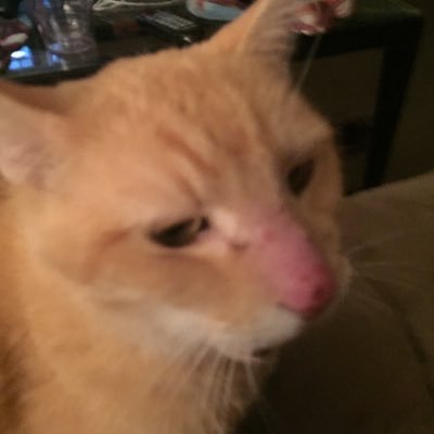 Profile Picture of @gollum999 (@kevinosterhout1) on Twitter