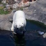 Profile Picture of Jakob Mauerhofer (@mauerhoferjakob) on Instagram