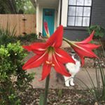 Profile Picture of Jenny McFarlane (@jenrmcfar) on Instagram