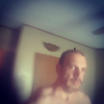 Profile Picture of William Mccarroll (@kaoutzu) on Twitter