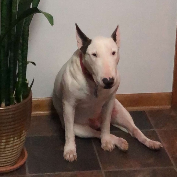 Profile Picture of Chad Cooper (@cjcoop48) on Poshmark