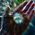 Profile Picture of wic66 (@wic66) on Flickr