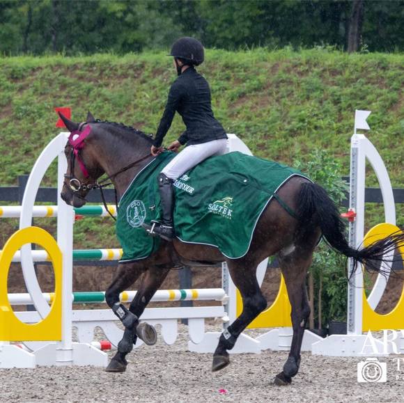 Profile Picture of Lou-anne Bréard (@louanne802) on Poshmark