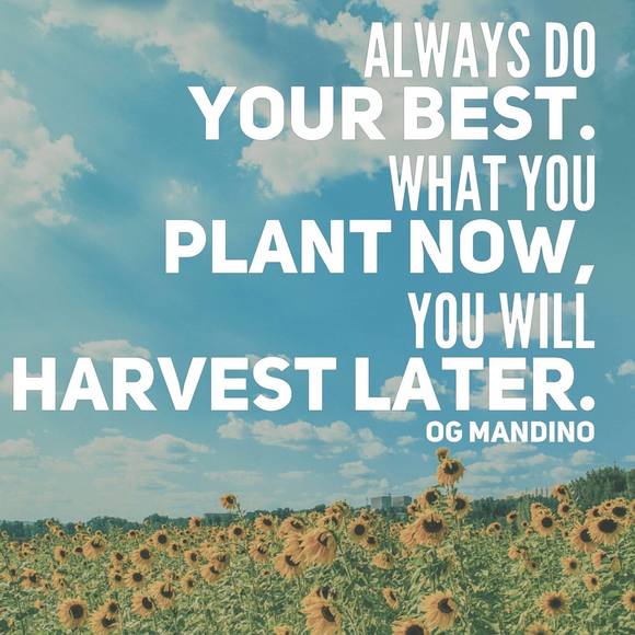 Profile Picture of Milton Thomas (@madmilt147) on Poshmark