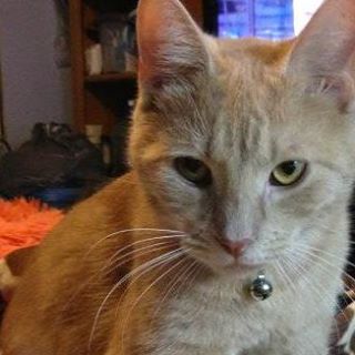 Profile Picture of Sam Weitzel (@sam.weitzel.9) on Facebook
