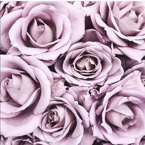 Profile Picture of Katie Gertler (@kgertler) on Poshmark