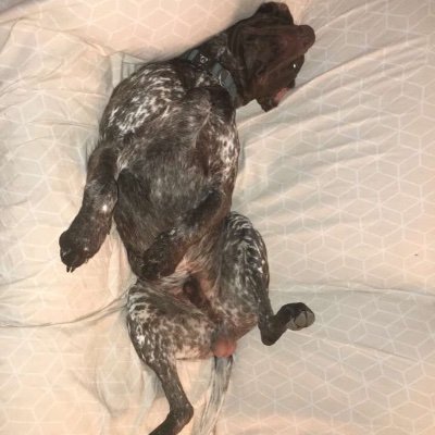 Profile Picture of Chelsea Ferwerda (@ChelseAFerwerdA) on Twitter