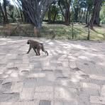 Profile Picture of Gianni Simon (@Gianni-Simon) on Facebook