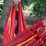 Profile Picture of Peter Arends (@peter.arends) on Instagram