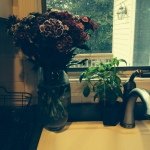 Profile Picture of Julia Lipman (@julialipman) on Instagram