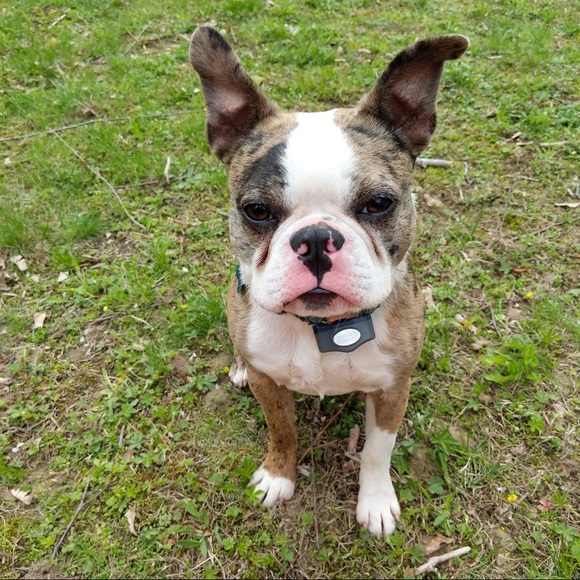 Profile Picture of Brendan Ballon (@brendanballon) on Poshmark