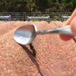 Profile Picture of JO Westerlund (@joel_westerlund) on Instagram