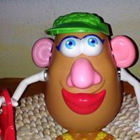 Profile Picture of Janet Reynolds (@janet-reynolds-8) on Quora