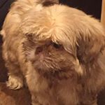 Profile Picture of Jill (@jill.potts.54922) on Instagram