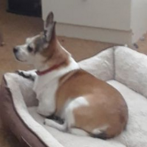 Profile Picture of Reuben Alvarez (@reubenalvarez57) on Poshmark