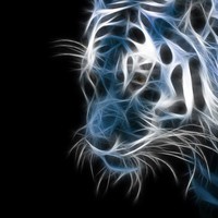 Profile Picture of Marcel Rose (@marcel-rose-5) on Quora