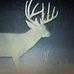 Profile Picture of Larry McElwee (@larry.mcelwee.16) on Facebook