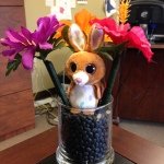 Profile Picture of Pat Reagan (@nanareagan7) on Instagram