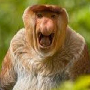 Profile Picture of jack mathison (@johnmathison8) on Tiktok