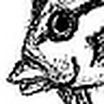 Profile Picture of Jesse D.  Garon (@jessegaron88) on Flickr