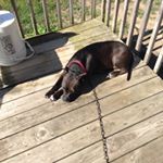 Brent Hostetler - Instagram Profile Picture of Brent Hostetler (@brent.hostetler) on Instagram