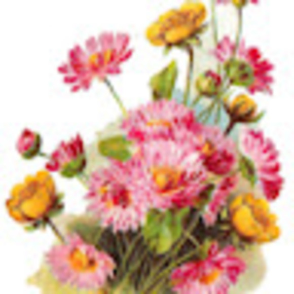 Noble Noble - Poshmark Profile Picture of Noble Noble (@maevesnoble) on Poshmark