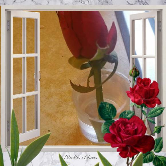 Isabel Alcaraz - Poshmark Profile Picture of Isabel Alcaraz (@isabelalcara347) on Poshmark