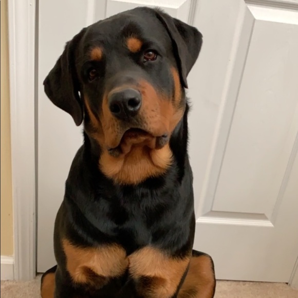 Profile Picture of Peyton Hurst (@peyton_hurst) on Poshmark