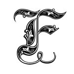 Profile Picture of Steve Fitzpatrick (@fitzpatrickfotography) on Instagram