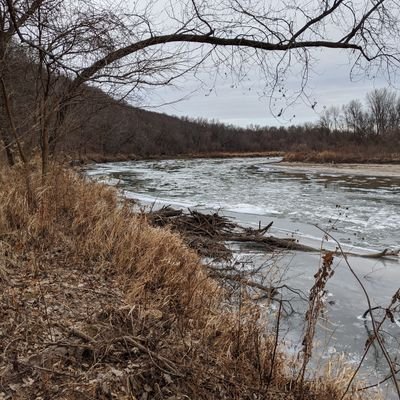 Profile Picture of Steven Myer (@StevenMyer7) on Twitter